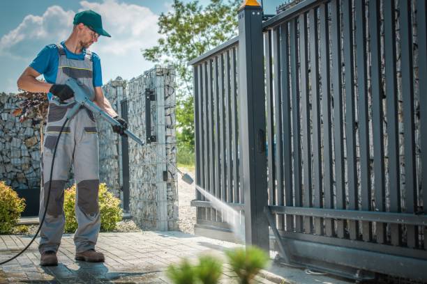 Best Boat and Dock Cleaning  in Vernon, AL
