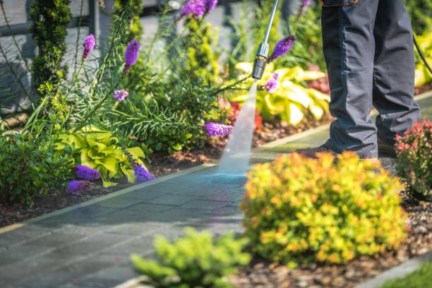 Best Animal Enclosure Cleaning  in Vernon, AL