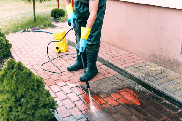 Best Gutter Cleaning  in Vernon, AL