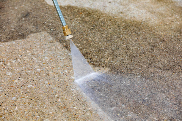 Best Spring Cleaning  in Vernon, AL